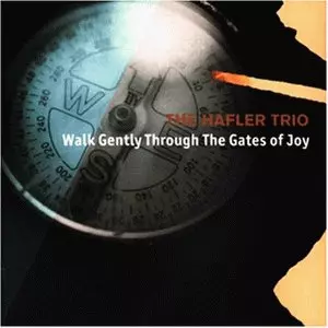 HAFLER TRIO / ハフラー・トリオ / WALK GENTLY THROUGH