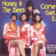 HONEY AND THE BEES / ハニー・アンド・ザ・ビーズ / COME GET IT