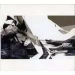 JAKI LIEBEZEIT & BURNT FRIEDMAN / SECRET RHYTHMS