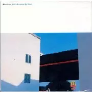 CARIBOU / カリブー / START BREAKING MY HEART