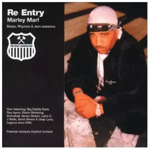 MARLEY MARL / マーリー・マール / RE-ENTRY