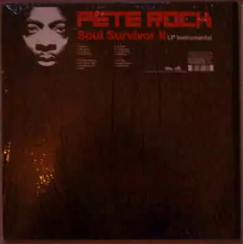 SOUL SURVIVOR 2 - INSTRUMENTALS 2LP -/PETE ROCK｜HIPHOP/R&B