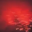 RAFAEL TORAL / ラファエル・トラル / VIOLENCE OF DISCOVERY & CHARM