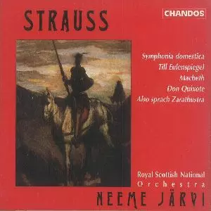 NEEME JARVI / ネーメ・ヤルヴィ / R.STRAUSS;TONE POEMS VOL2