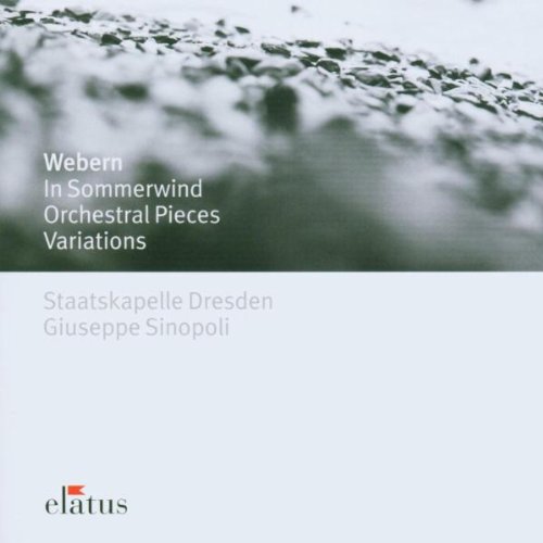 GIUSEPPE SINOPOLI / ジュゼッペ・シノーポリ / WEBERN: ORCHESTRAL WORKS 