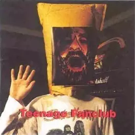 TEENAGE FANCLUB / ティーンエイジ・ファンクラブ / DEEP FRIED FANCLUB