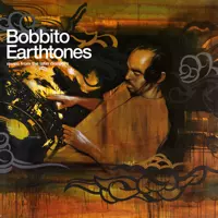 V.A. / EARTHTONES 2LP