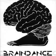 V.A.(REPHLEX) / THE BRAINDANCE COINCIDENCE