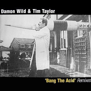 DAMON WILD & TIM TAYLOR / BANG THE ACID REMIXES