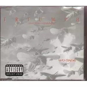 WU-TANG CLAN / ウータン・クラン / TRIUMPH - 1st