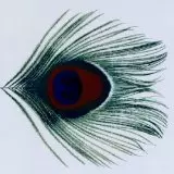 XTC / APPLE VENUS VOL.1