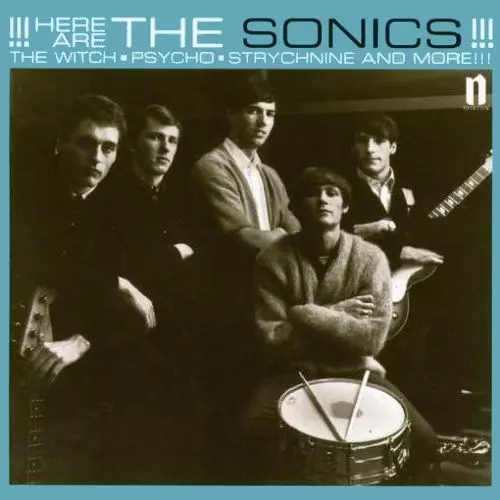 SONICS / ソニックス / HERE ARE THE SONICS!!! (LP)