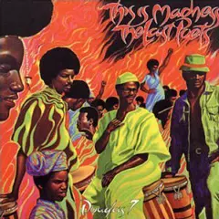 LAST POETS / ラスト・ポエッツ / THIS IS MADNESS