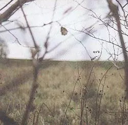HOOD / フッド / THE CYCLE OF DAYS & SEASONS