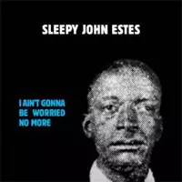 SLEEPY JOHN ESTES / スリーピー・ジョン・エスティス / I AIN'T GONNA BE WORRIED NO MO / (2LP)
