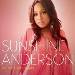 SUNSHINE ANDERSON - レコード 　アルバム 超美品 SUNSHINE ANDERSON - レコード アルバム 超美品 独特な 【送料
