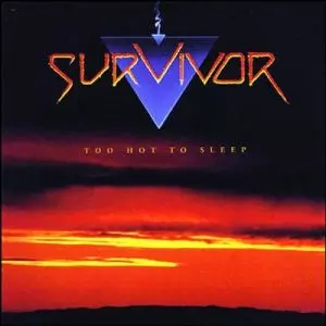 SURVIVOR / サバイバー / TOO HOT TO SLEEP