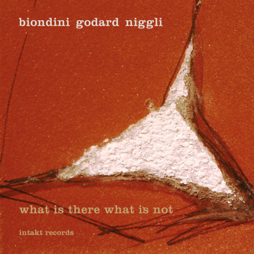 MICHEL GODARD / ミシェル・ゴダール / what is there what is not