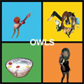 OWLS / アウルズ / OWLS (レコード)