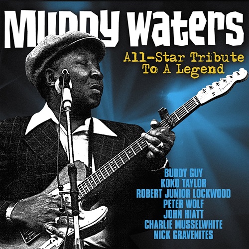 V.A. / MUDDY WATERS ALL STAR TRIBUTE 