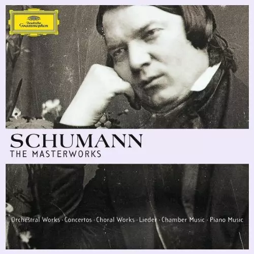 SCHUMANN: MASTERWORKS/VARIOUS ARTISTS (CLASSIC)/オムニバス