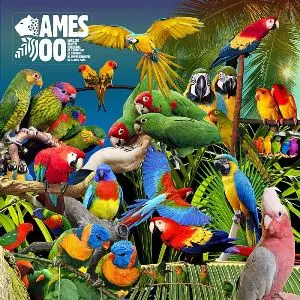 JAMES ZOO / ジェイムスズー / GUANYIN PSITTACINES EP