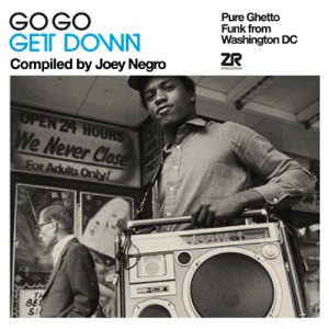 V.A. (COMPILED BY JOEY NEGRO) / GO GO GET DOWN (2CD)
