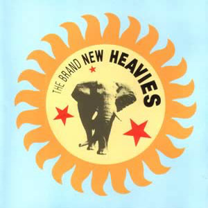 BRAND NEW HEAVIES / ブラン・ニュー・ヘヴィーズ / THE BRAND NEW HEAVIES  (LP 180G )