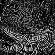 LV (DUBSTEP) / Sebenza (LP)