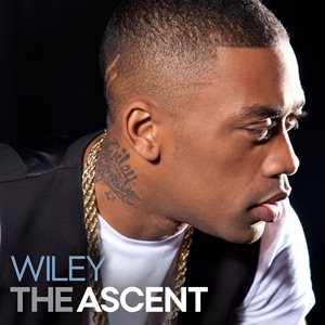 WILEY / ワイリー / ASCENT
