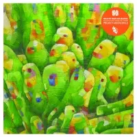 洋楽 Fat Jon / Repaint Tomorrow 2LP Fat Jon The Ample Soul Physician – Repaint Tomorrow – CD
