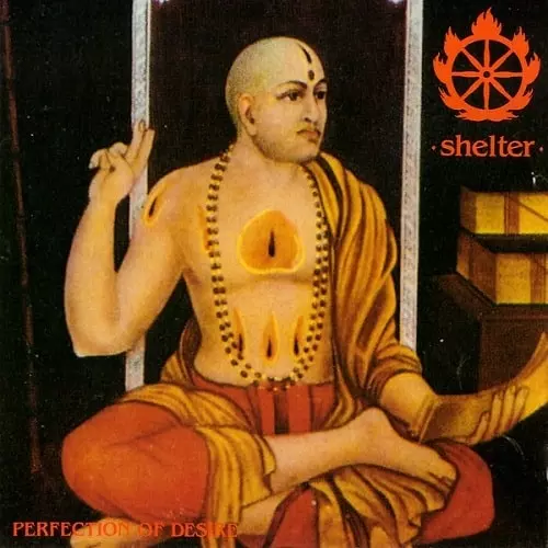 SHELTER / PERFECTION OF DESIRE (LP)