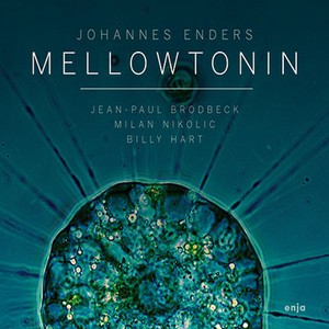 JOHANNES ENDERS  / ヨハネス・エンダース / Mellowtonin