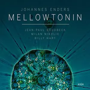 JOHANNES ENDERS  / ヨハネス・エンダース / Mellowtonin