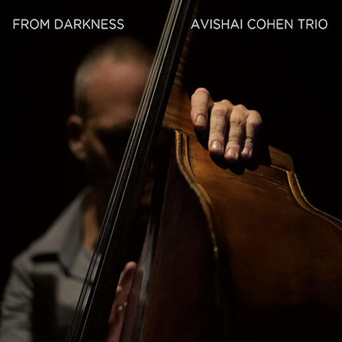 AVISHAI COHEN (BASS) / アヴィシャイ・コーエン / From Darkness(LP)