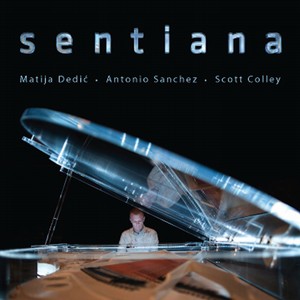 MATIJA DEDIC / Sentiana 