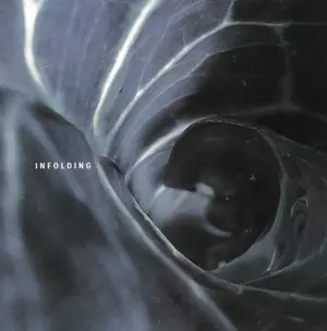 SPIN MARVEL / Infolding(2LP)
