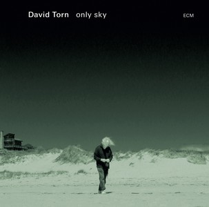 DAVID TORN / デイヴィッド・トーン / Only Sky