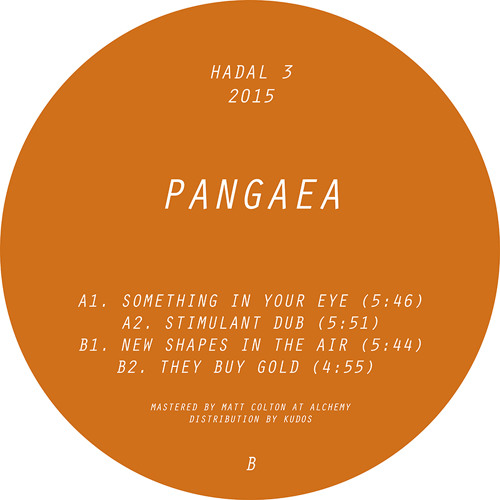 PANGAEA / パンゲア (Hessle Audio) / NEW SHAPES IN THE AIR
