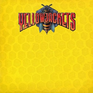 YELLOWJACKETS / イエロージャケッツ / Yellowjackets(LP/180G)