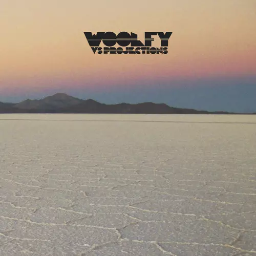 WOOLFY VS PROJECTIONS / STATIONS