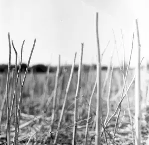 RECONDITE  / レコンダイト / ON ACID(REISSUE) 