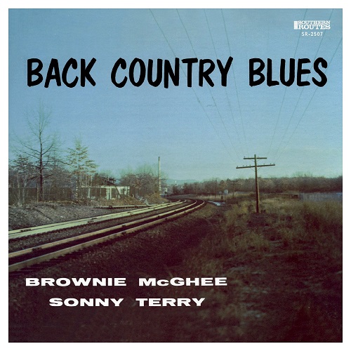 SONNY TERRY & BROWNIE MCGHEE / サニー・テリー&ブラウニー・マギー / BACK COUNTRY BLUES: 1947-1955 SAVOY RECORDINGS