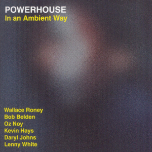 POWERHOUSE / パワーハウス / In an Ambient Way