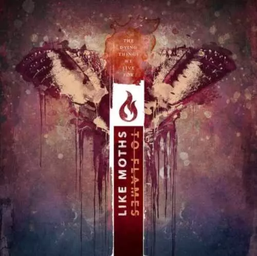 LIKE MOTHS TO FLAMES / THE DYING THINGS WE LIVE FOR