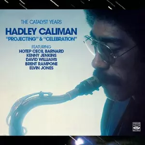 HADLEY CALIMAN / ハドリー・カリマン / Catalyst Years:Projecting & Celebration
