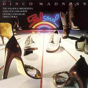 V.A. (DISCO MADNESS) / オムニバス / DISCO MADNESS