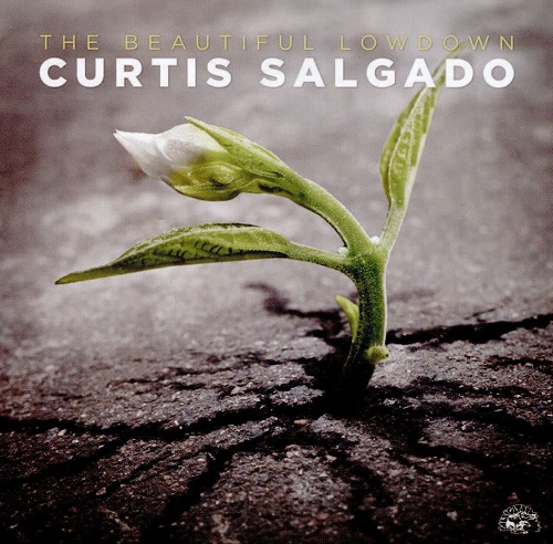 CURTIS SALGADO / カーティス・サルゲイド / THE BEAUTIFUL LOWDOWN
