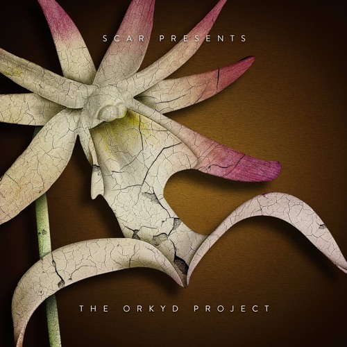 Scar. / THE ORKYD PROJECT