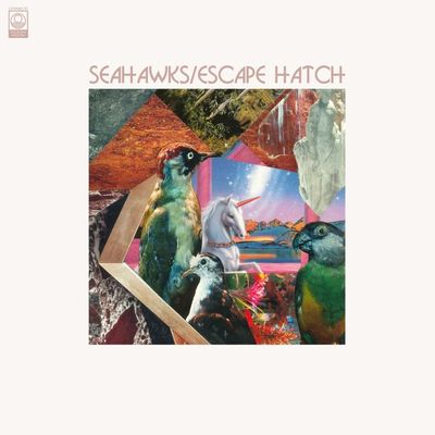 SEAHAWKS / シーホークス / ESCAPE HATCH(LP)